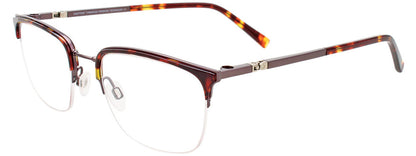 Steel & Caramel Tortoise