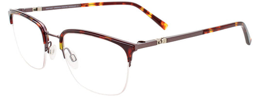 Steel & Caramel Tortoise