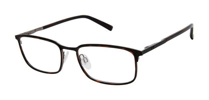 Black Tortoise