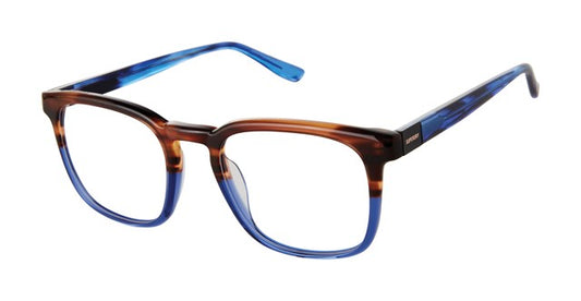 SUPERDRY SDOM002T Eyeglasses Tortoise