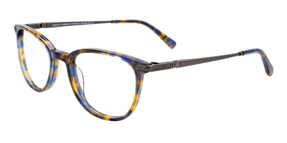 Brown Blue Tortoise