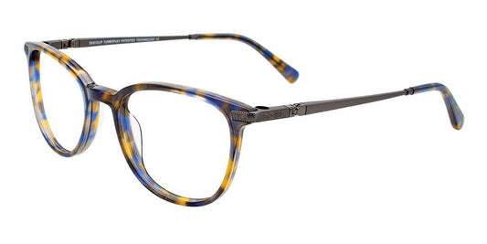 Brown Blue Tortoise