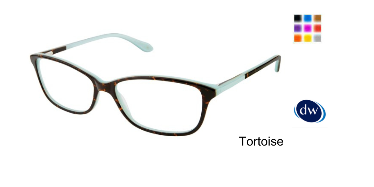 Tortoise