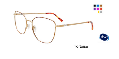 Tortoise