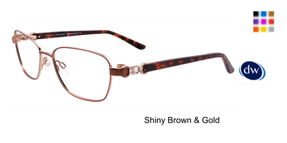 Shiny Brown Gold