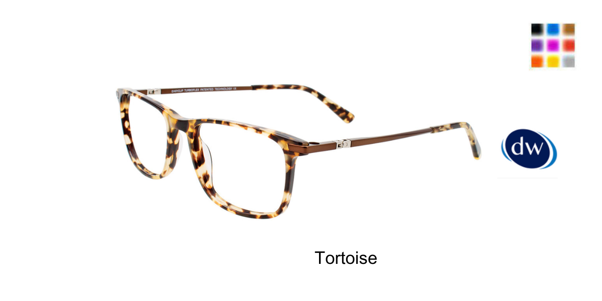 Tortoise