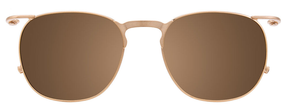 Brushed Gold Tortoise Clip On