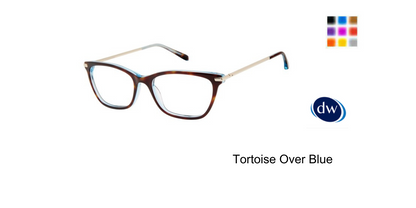 Tortoise Over Blue