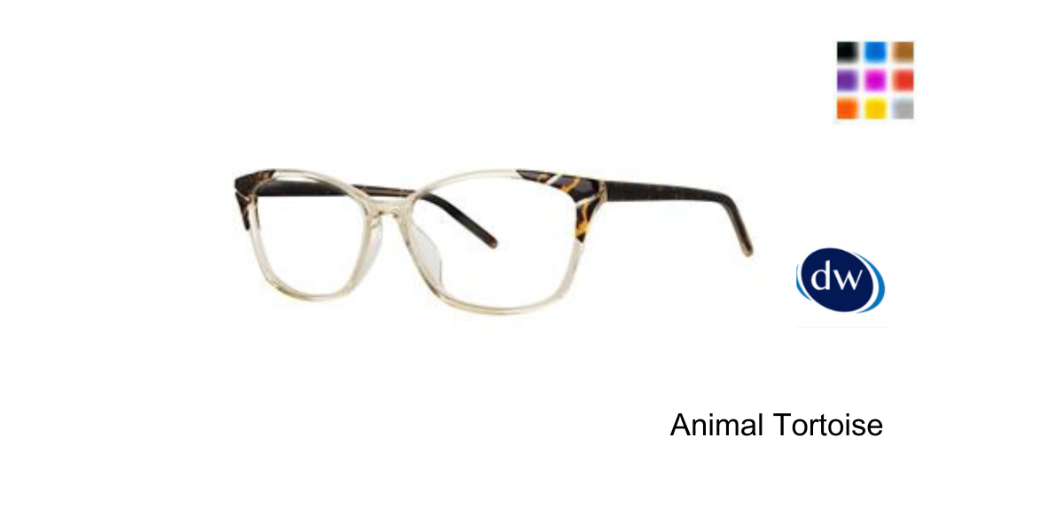 Animal Tortoise
