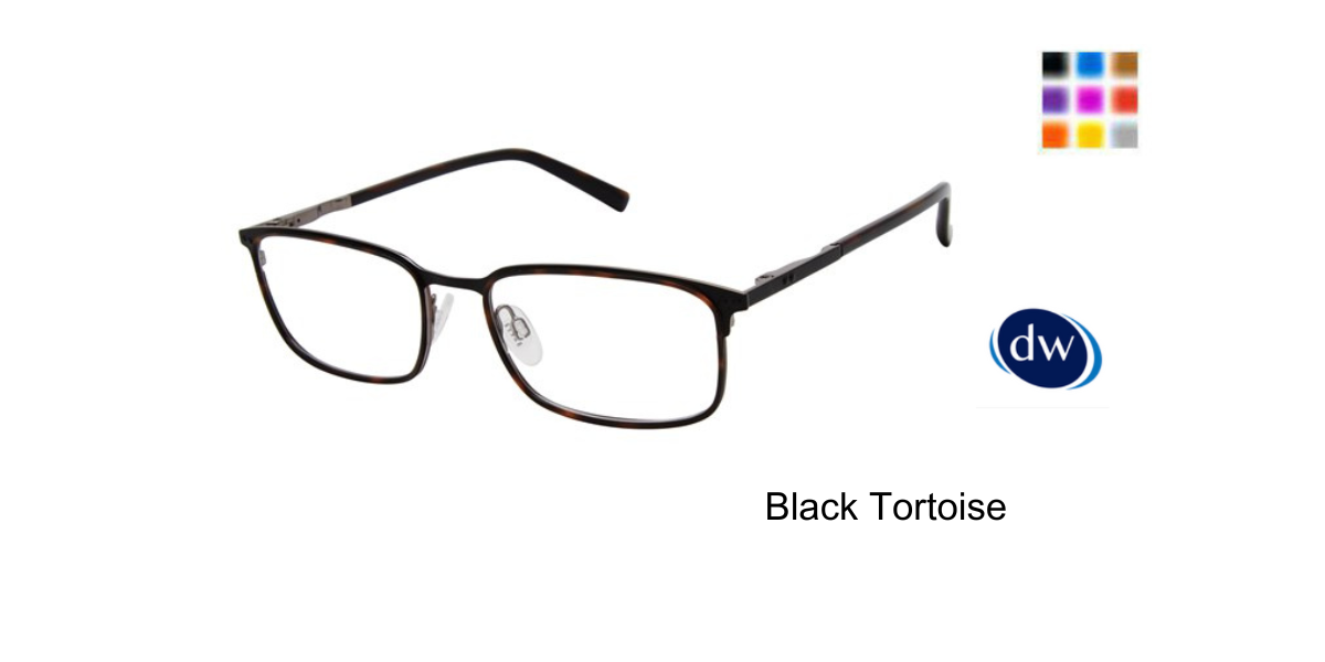 Black Tortoise