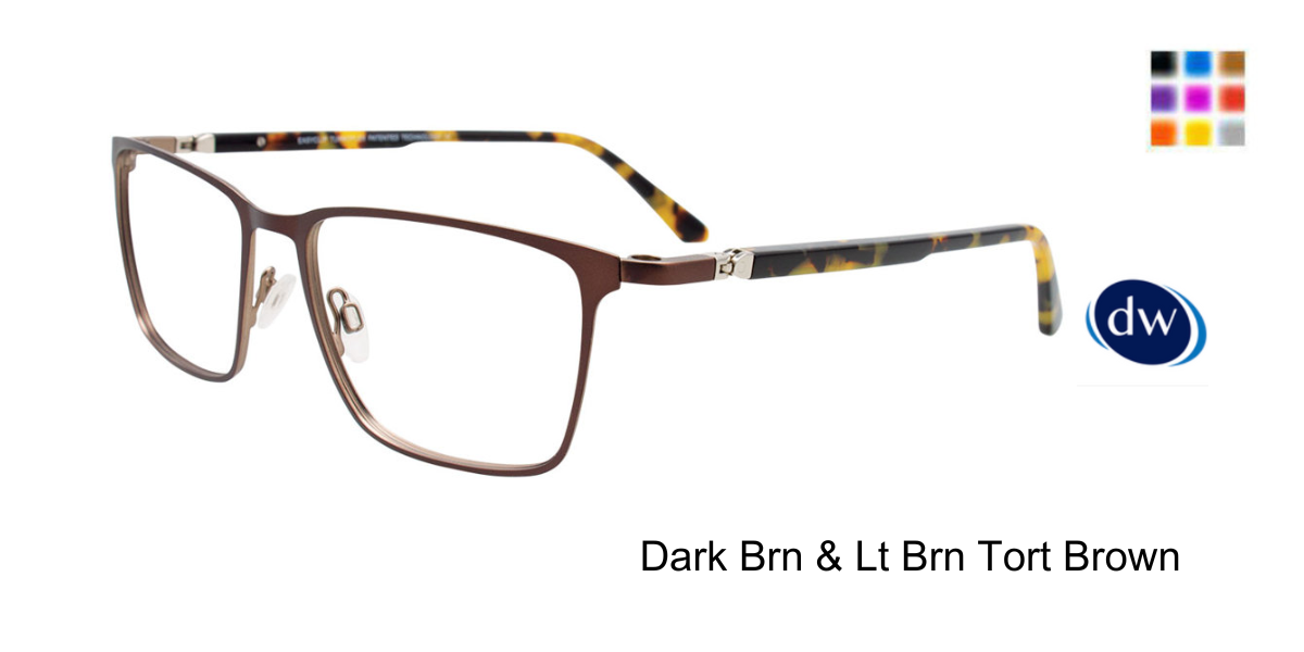 Dark Brn Lt Brn Tort Brown