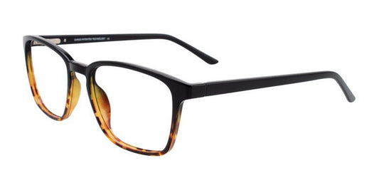 Demi Ambre & Black Cargo C5052 Eyeglasses.