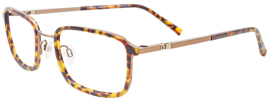 Tort & Light Brown