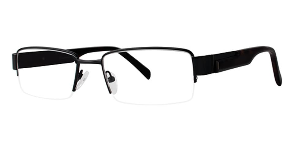 Black Dark Tortoise