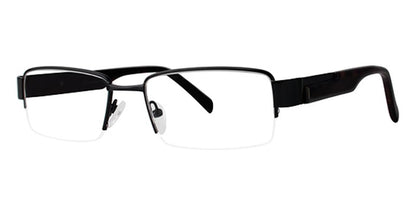 Black Dark Tortoise