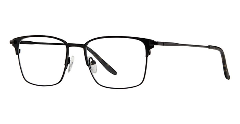 Black Tortoise