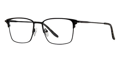 Black Tortoise