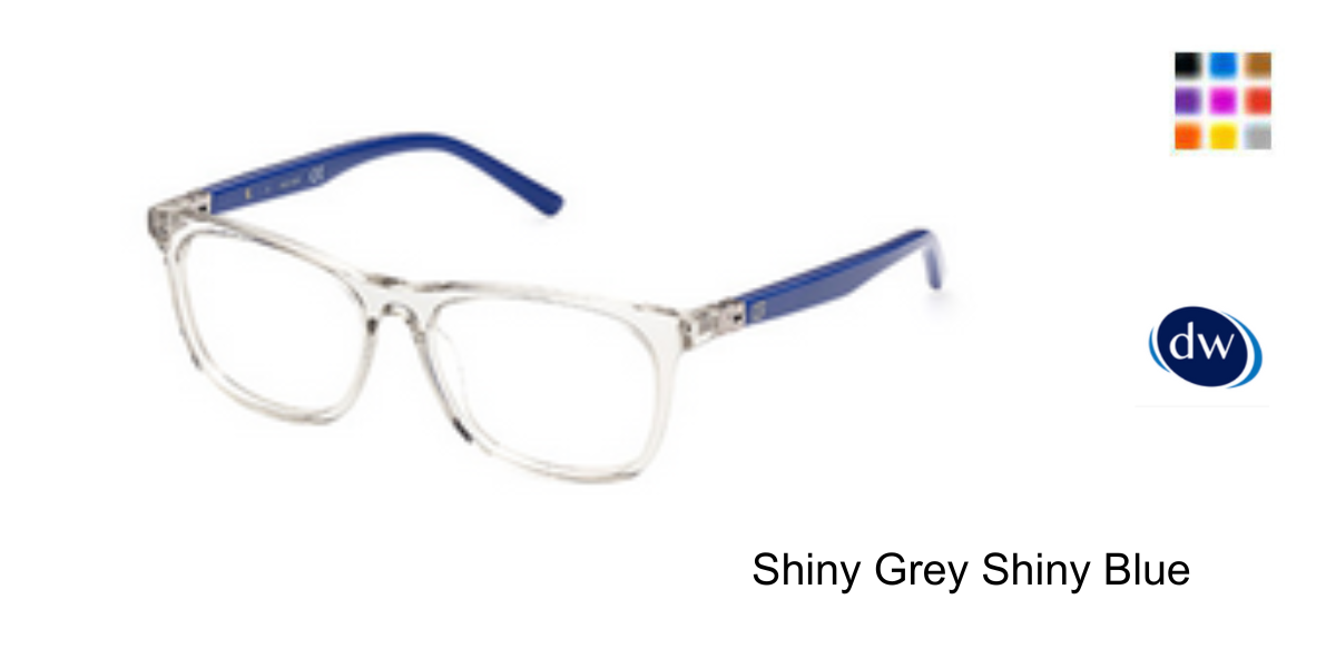Shiny Grey Shiny Blue