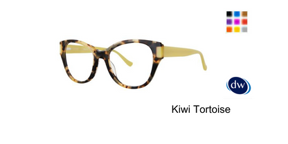 Kiwi Tortoise