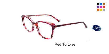 Red Tortoise