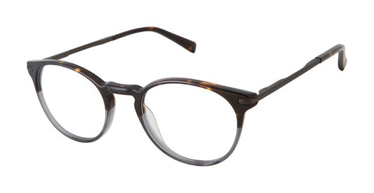 Tortoise Grey             TFM006