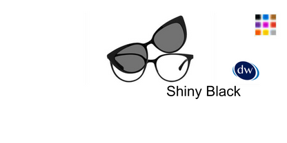 Shiny Black