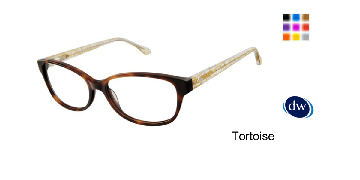 Tortoise    L209