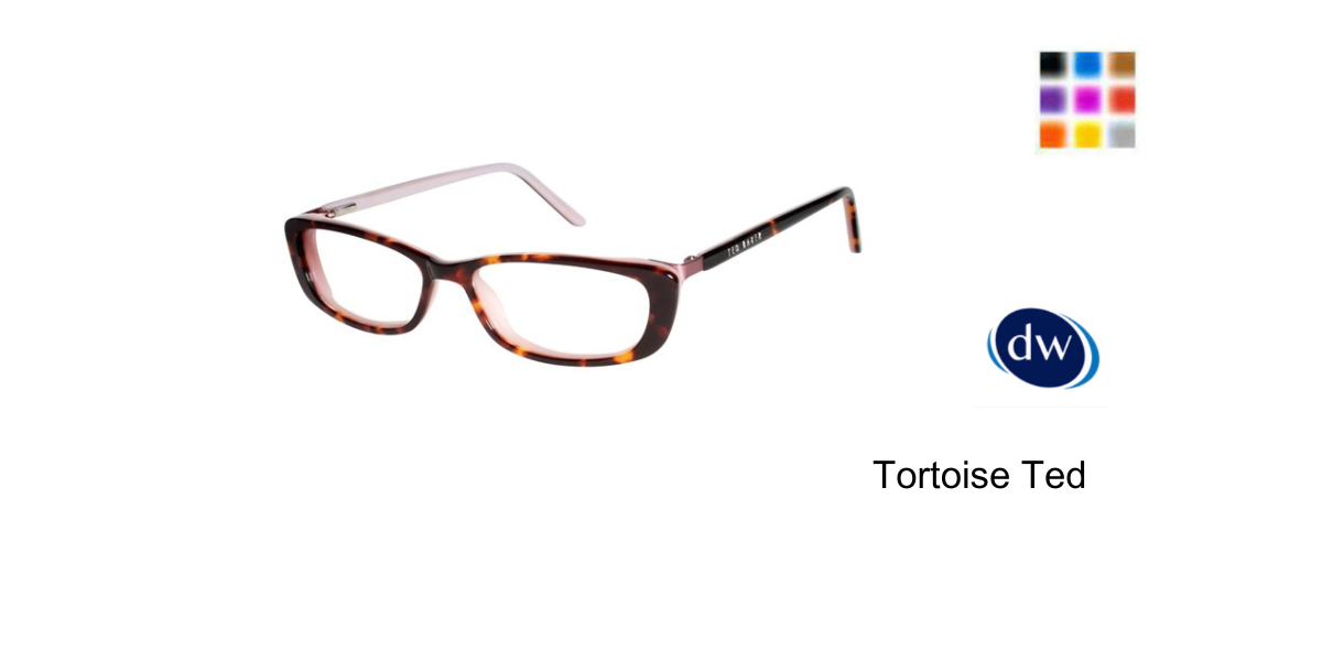 Tortoise Ted