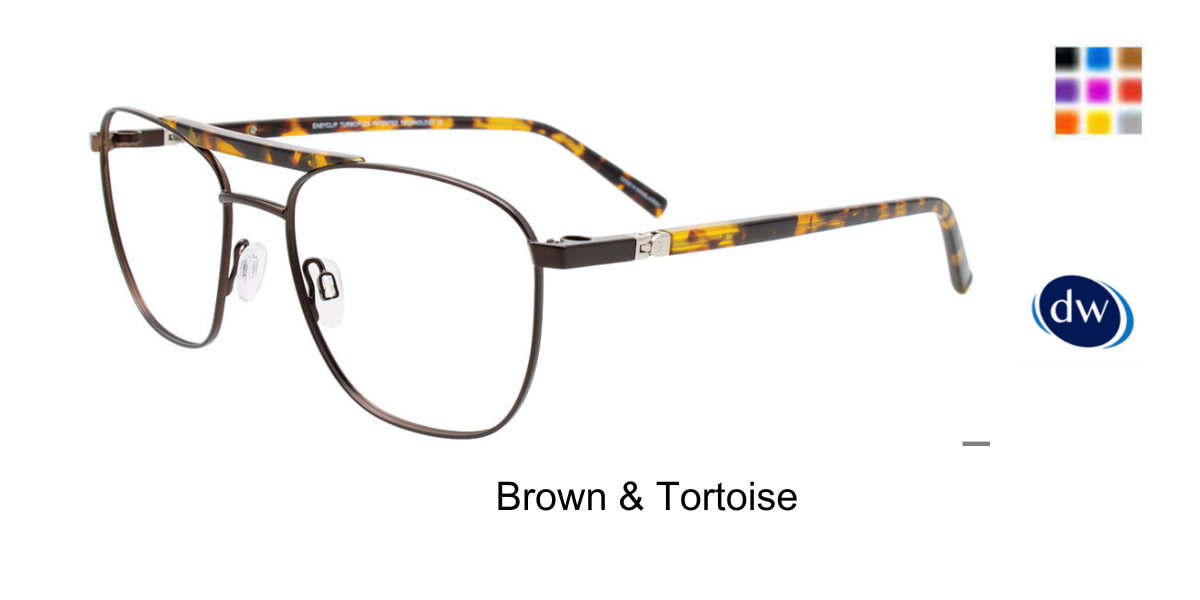 Brown Tortoise