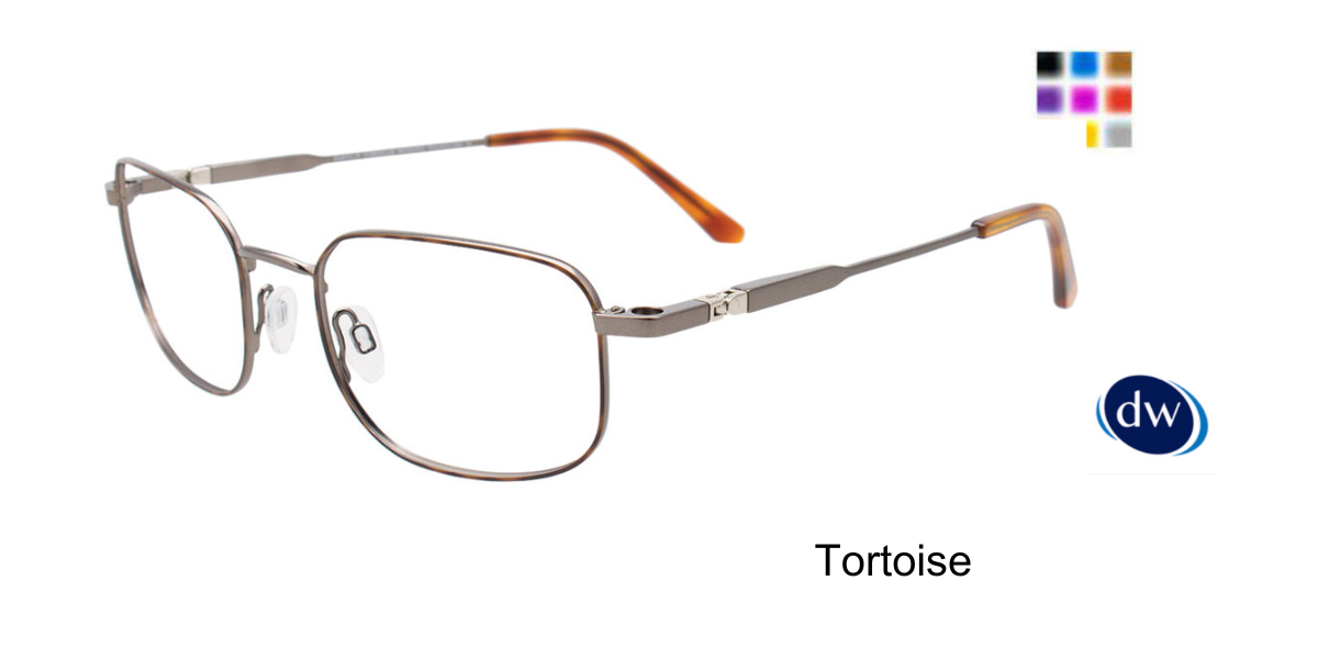 Tortoise