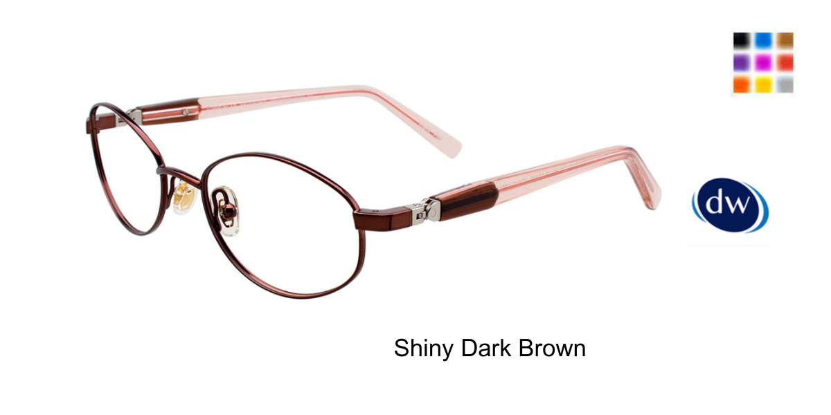 Shiny Dark Brown