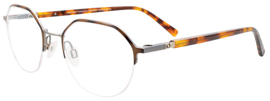 Tortoise & Grey Tortoise