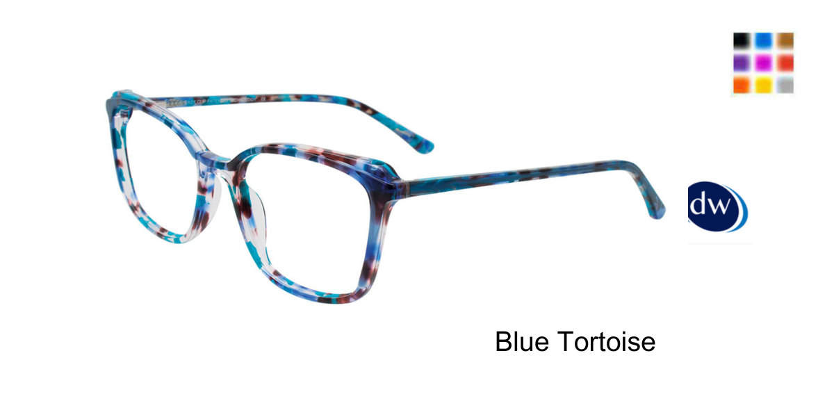 Blue Tortoise
