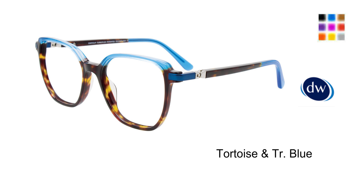 Tortoise Tr. Blue