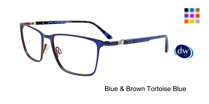 Blue Brown Tortoise Blue