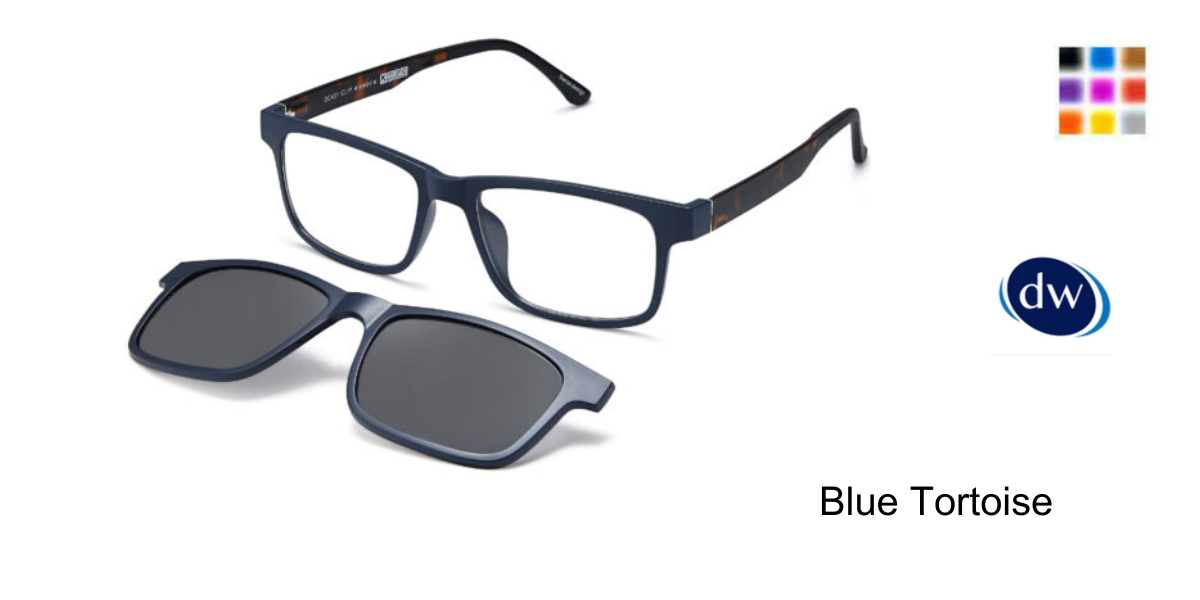 Blue Tortoise