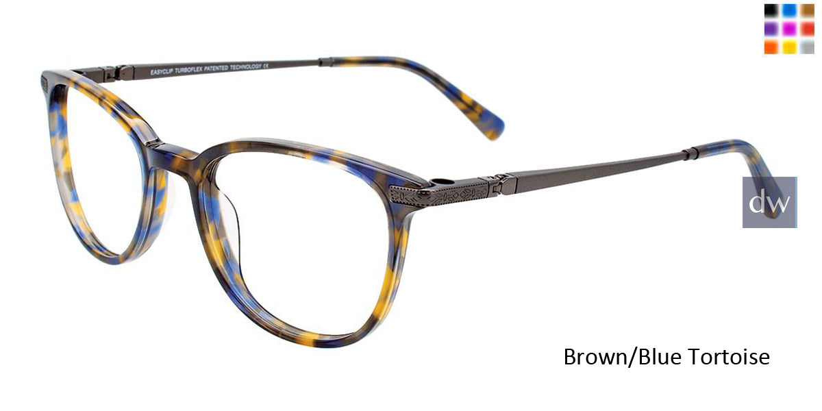 Brown Blue Tortoise