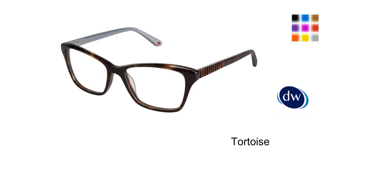 Tortoise