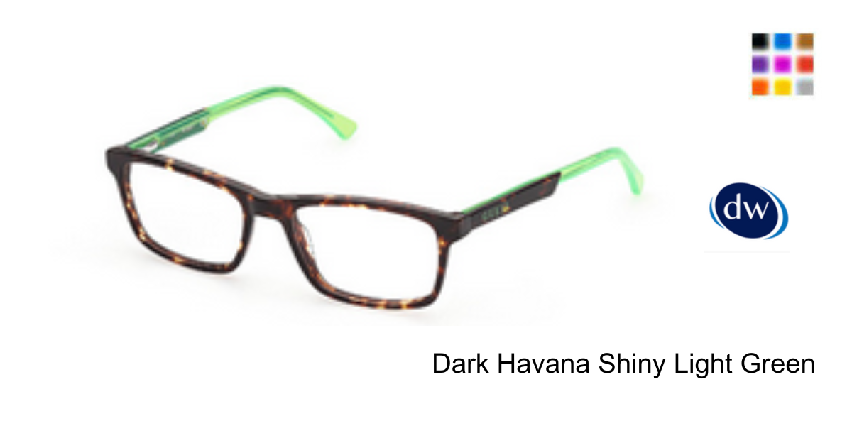 Dark Havana Shiny Light Green