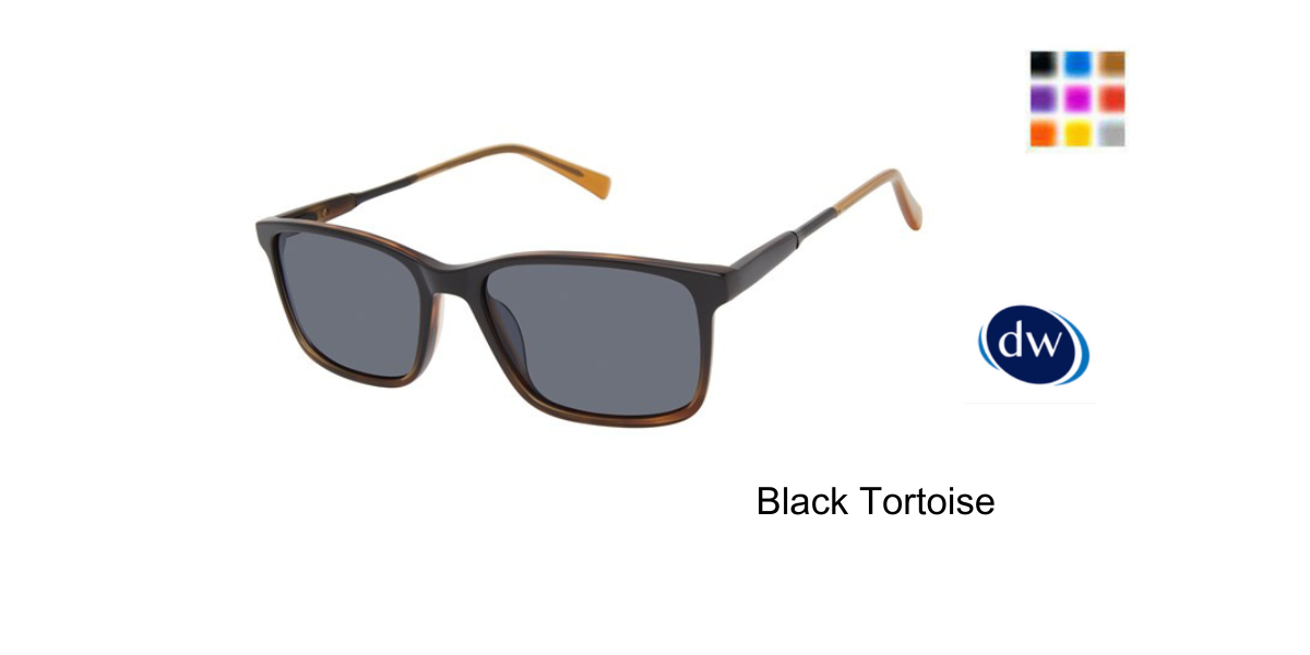 Black Tortoise