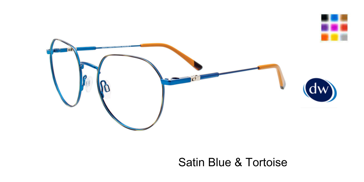 Satin Blue Tortoise