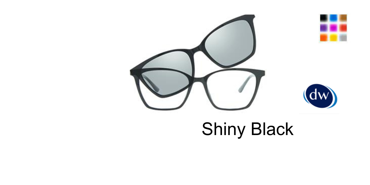 Shiny Black