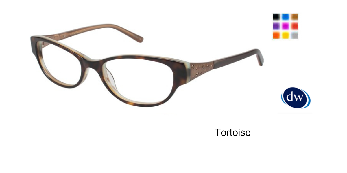 Tortoise