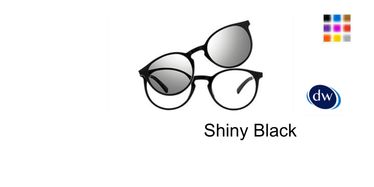 Shiny Black