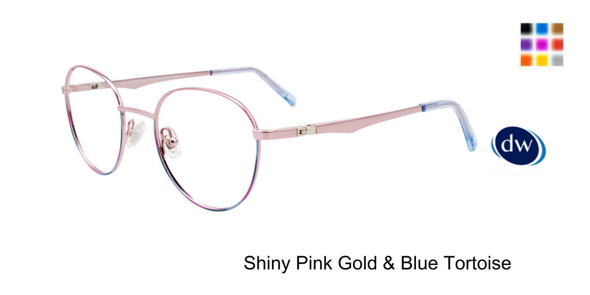 Shiny Pink Gold Blue Tortoise