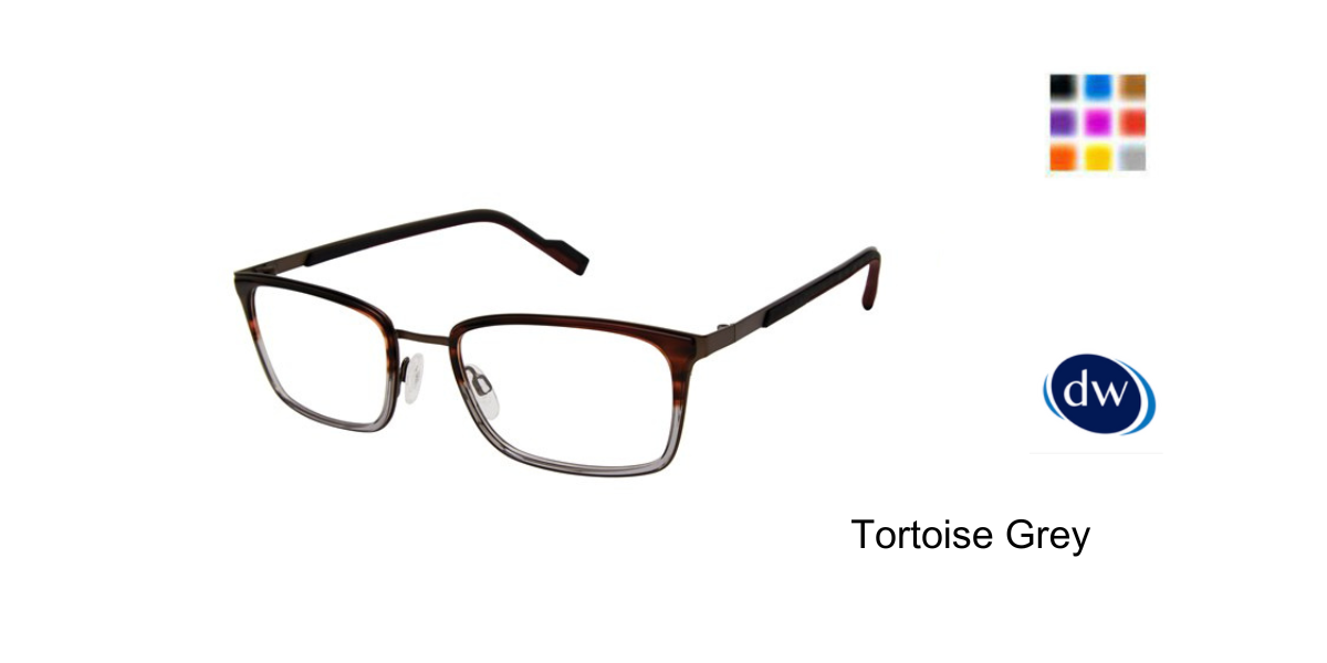 Tortoise Grey