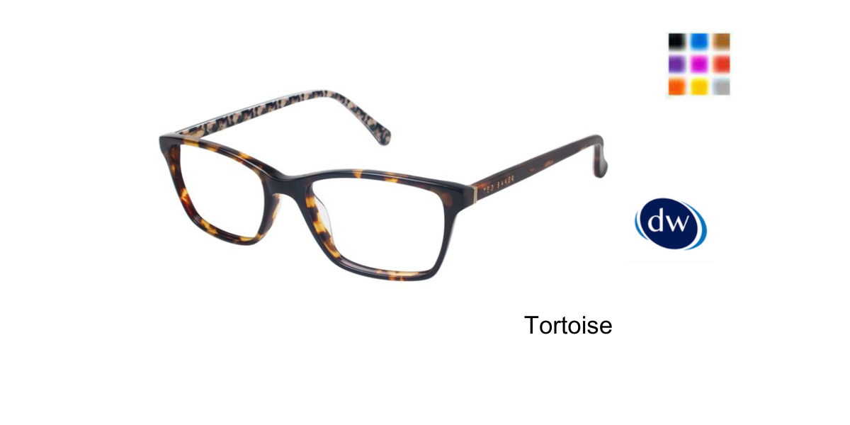 Tortoise     B723