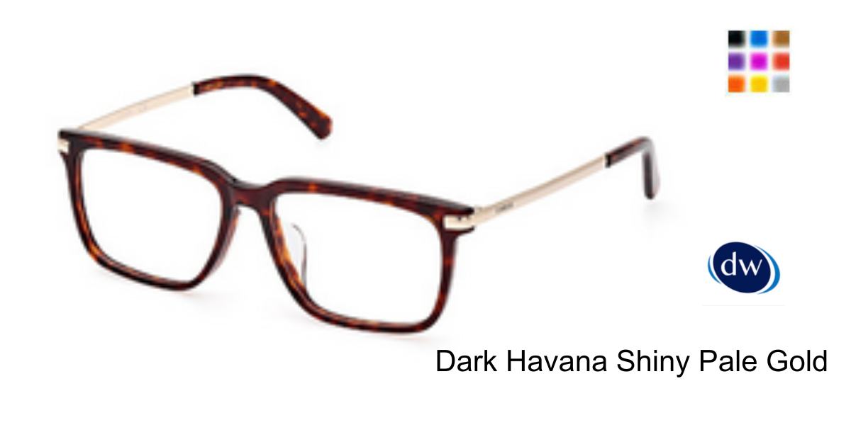 Dark Havana Shiny Pale Gold