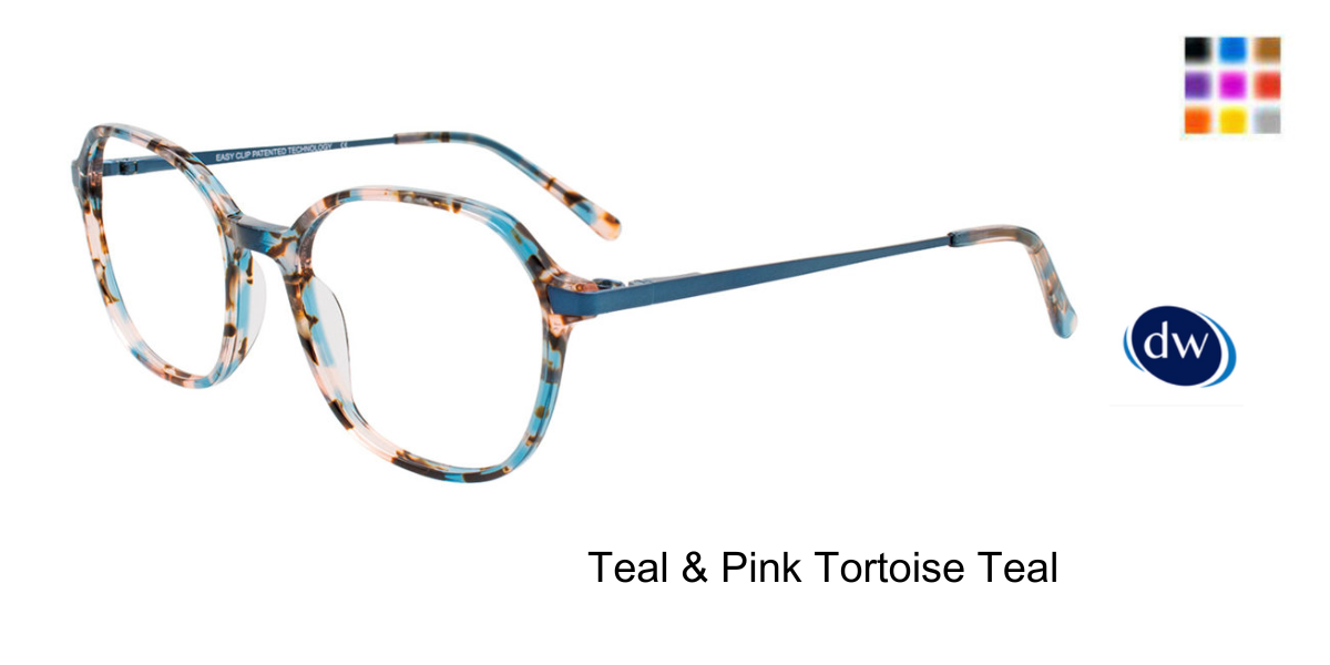 Teal Pink Tortoise Teal
