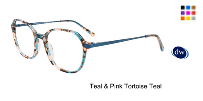 Teal Pink Tortoise Teal
